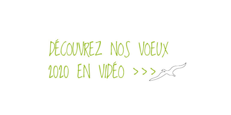 SENSINK vous présente ses graines de vœux en vidéo ! >>>