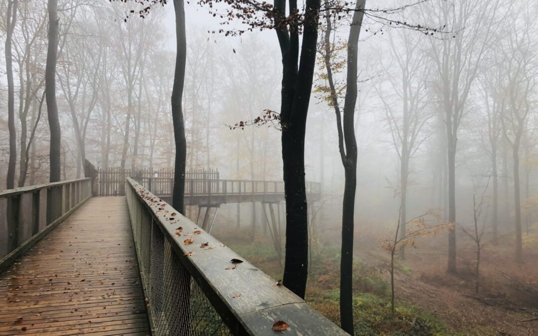 Et si nos entreprises construisaient des ponts entre terre et ciel ?