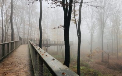 Et si nos entreprises construisaient des ponts entre terre et ciel ?