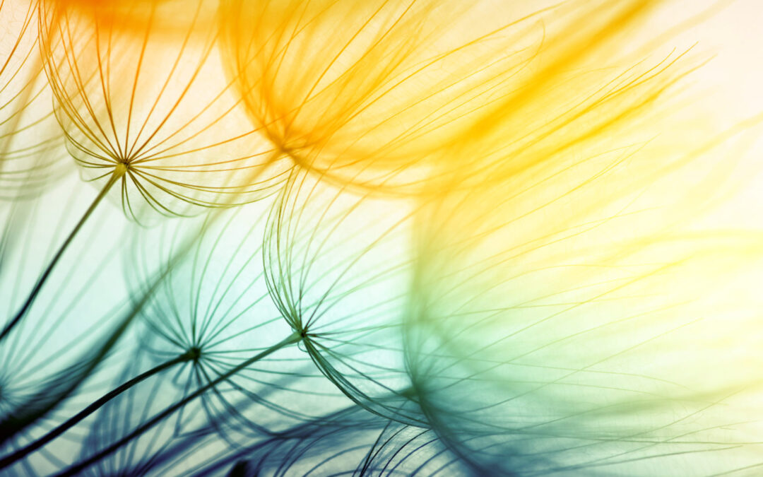 Découvrez nos feuilles inspirantes #poethique
