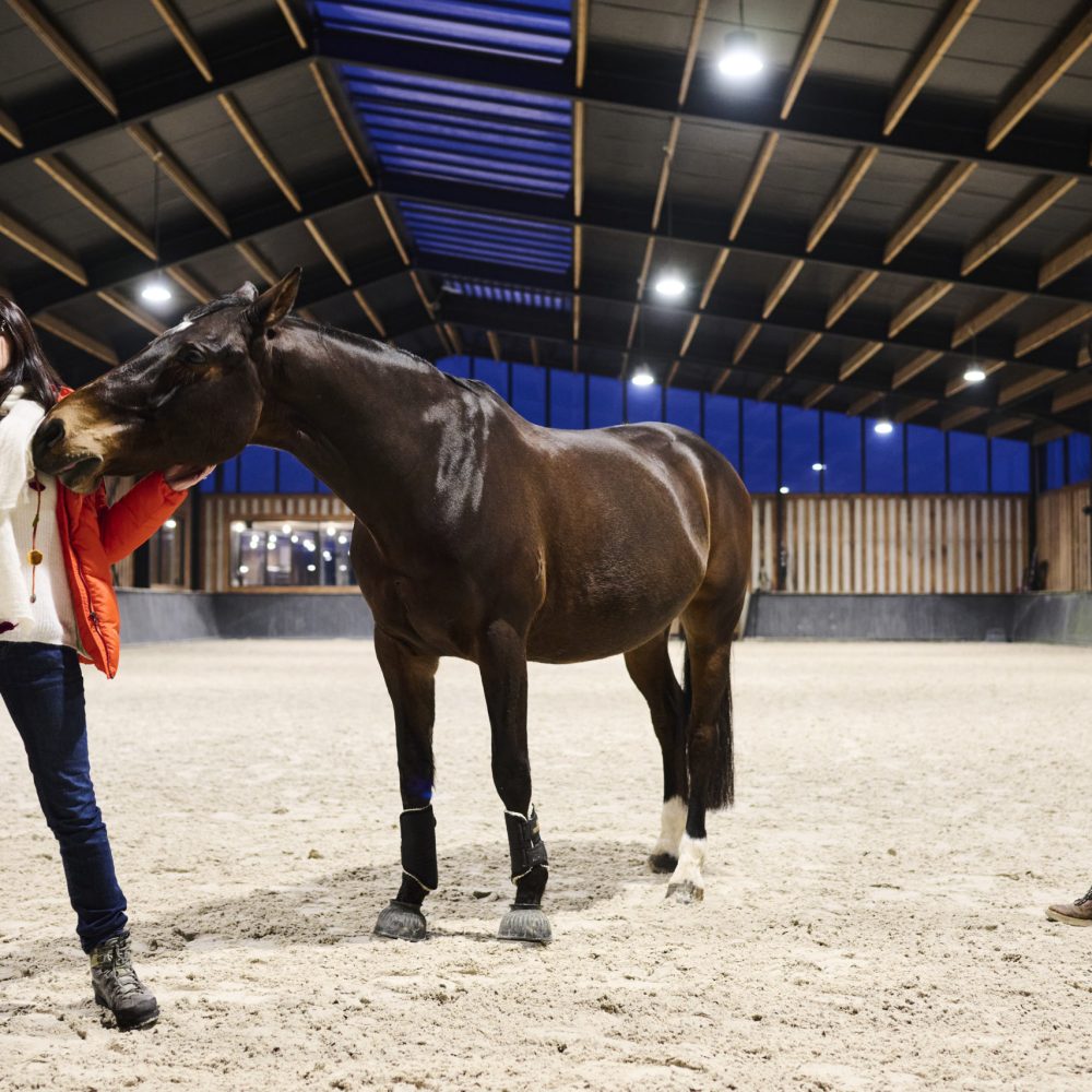 NEW ! Notre Atelier expérientiel PCM® facilité par les chevaux.